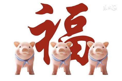 屬豬年份|屬豬今年幾歲｜屬豬民國年次、豬年西元年